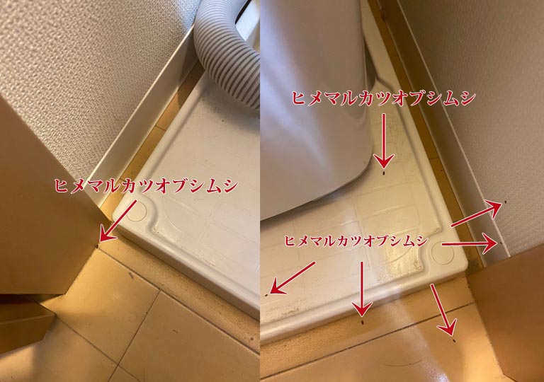 ⑨洗濯機_壁下の板隙間と防水パン